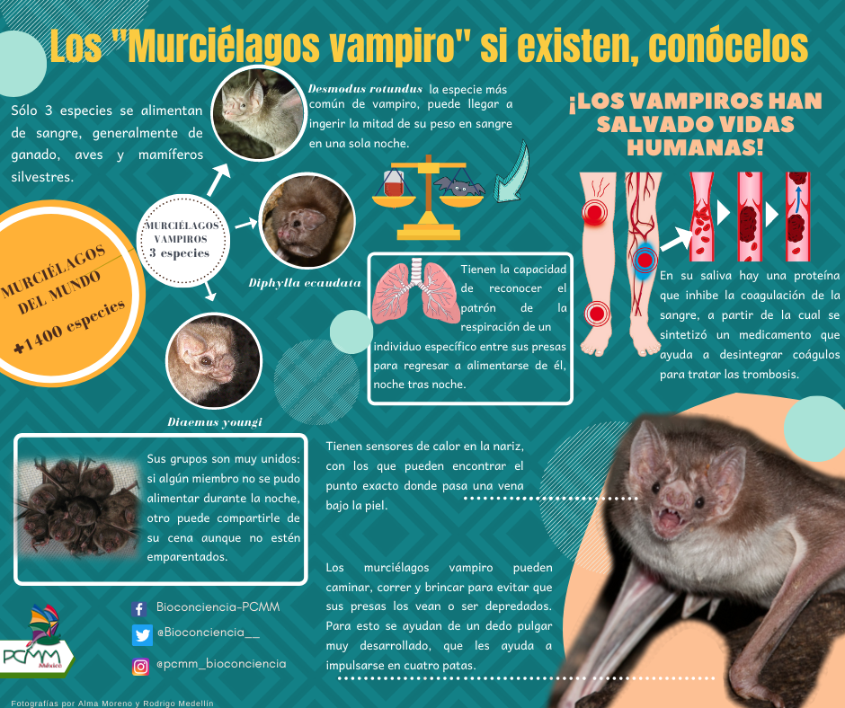 Infografía 